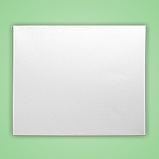 20x16 Canvas Gallery Wrap